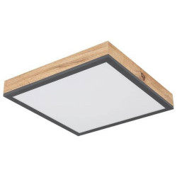 Globo LED PANEL, 30/30 cm