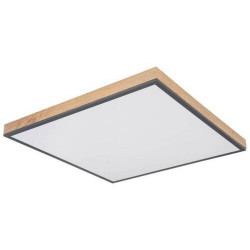 Globo LED PANEL, 59/59/6,5 cm